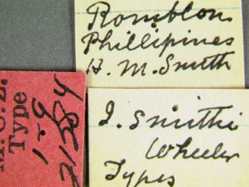 Media type: image; Entomology 21284   Aspect: labels